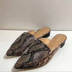Snake print pointed toe slide in mule loafers